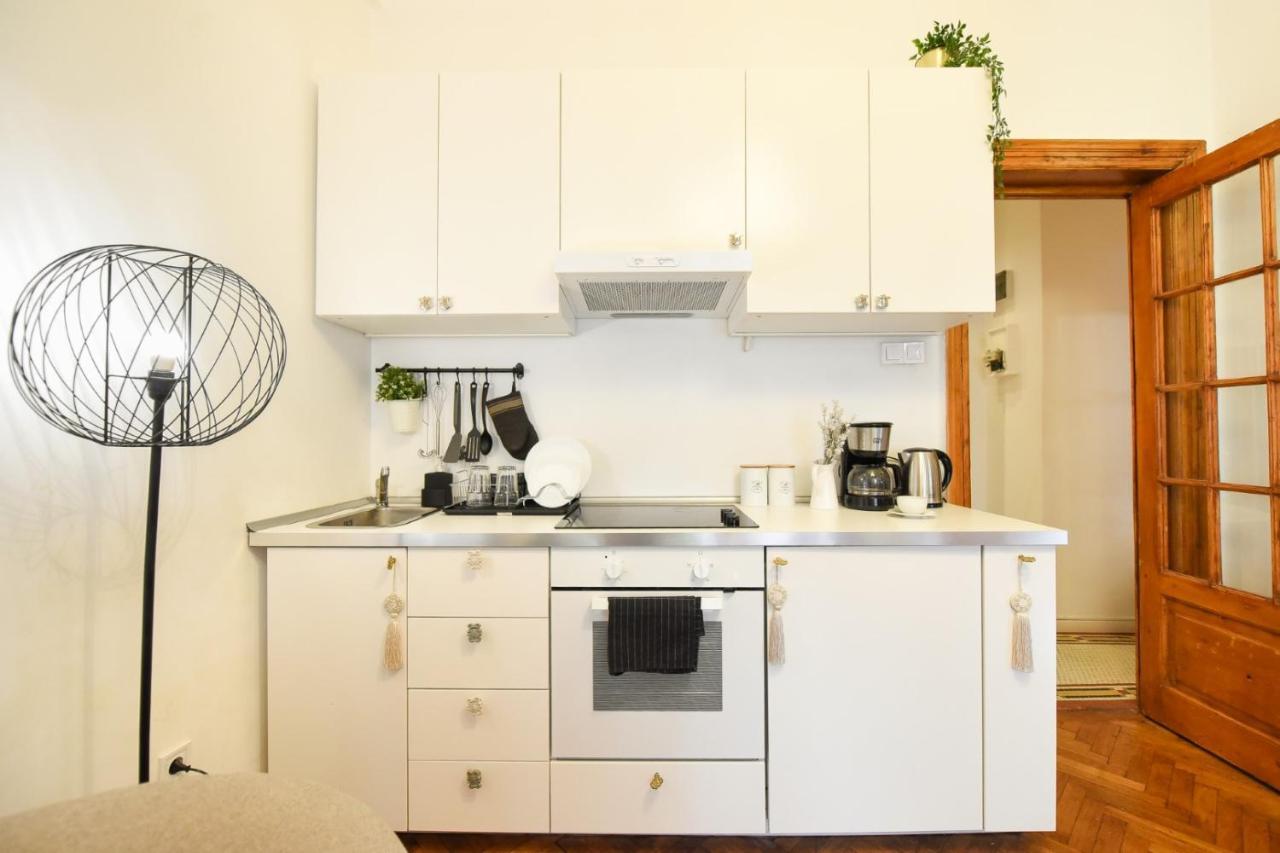Vintage Elegance, Modern Comfort: 1Br Apartment Overlooking Calea Victoriei Bucureşti Exterior foto